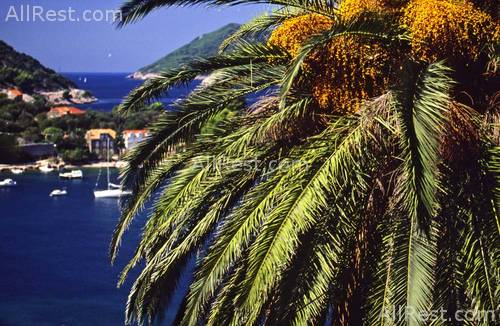 Villas Kolocep Hotel 29